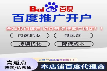 某品牌sem竞价托管代运营的精彩瞬间